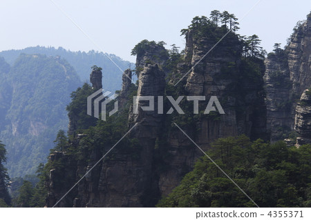 張家界黃石靖西女子專用花 4355371