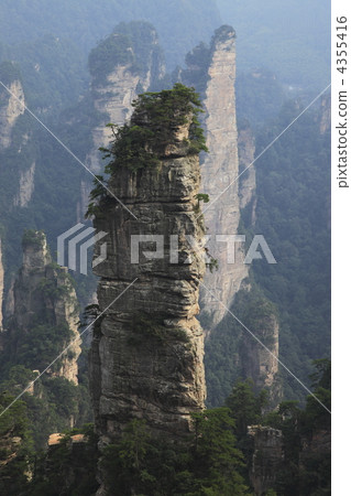 Rock peak of Zhangjiajie Huangshi Jiayue Flower Garden Rock peak of Zhangjiajie Huangshi Jiayue Flower Garden 4355416