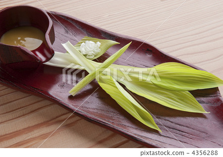 大蔥花 玉簪 車前草百合 4356288