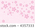 Cherry Blossoms   4357333
