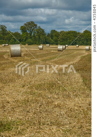 Hay bales in harvest time Hay bales in harvest time 4358845