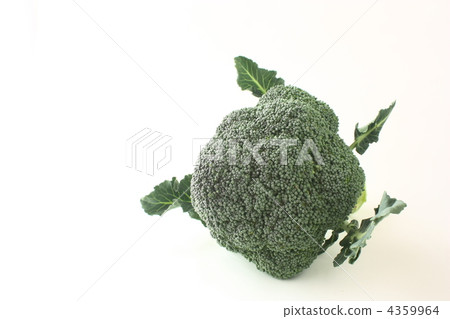 西蘭花 西蘭花 4359964