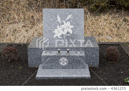 Lily of flowers 4361255