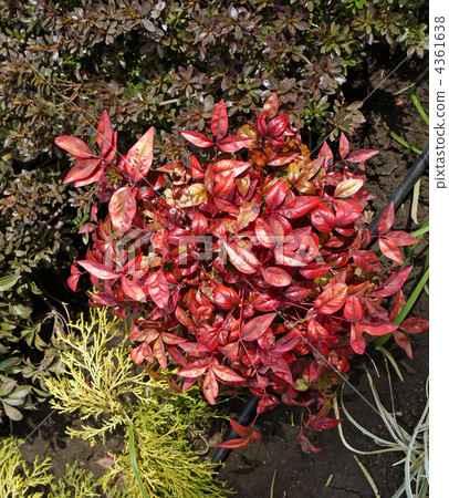 奧特福南部 4361638