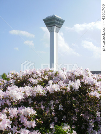 Goryokaku Tower 4361709