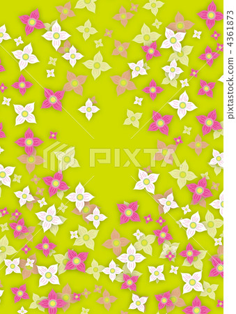 Scattered cherry blossoms 4361873