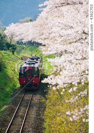 春天JR Hitosaka線 4362703