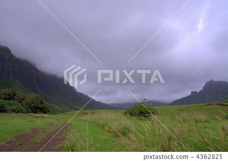Movie location such as Jellasic Park 4362825