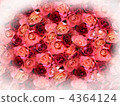 Rose   4364124