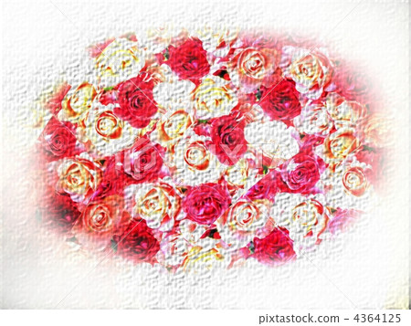 Rose Rose 4364125