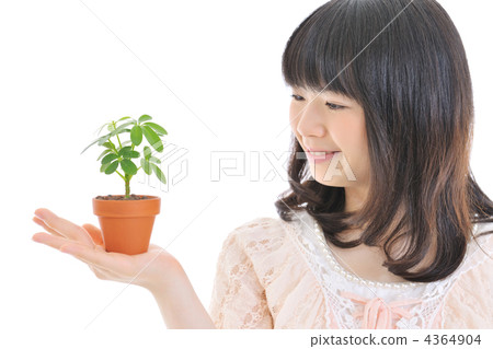 planting tree, 20, eco 4364904