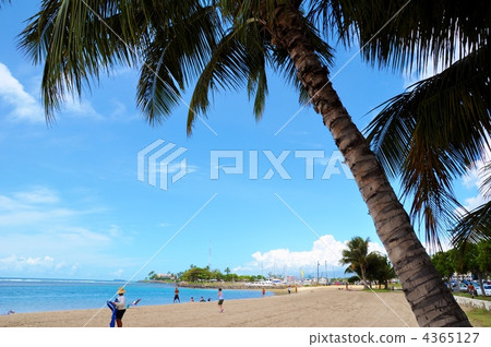 夏威夷的假期 4365127