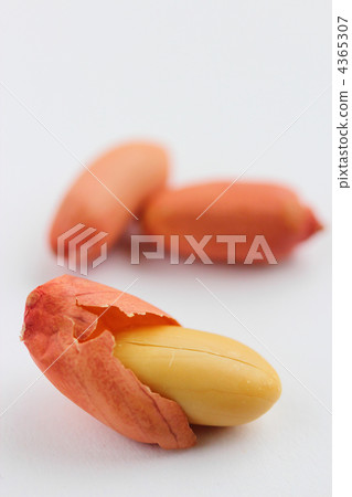 peanut 4365307