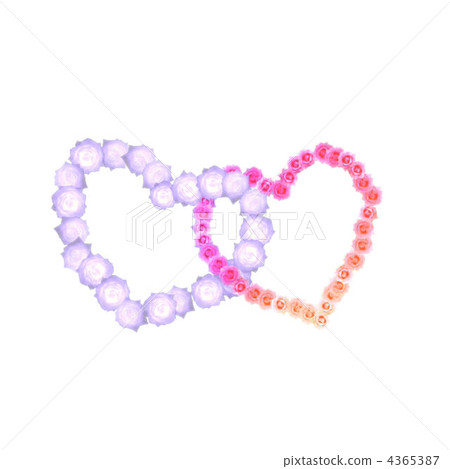 Roses - Stock Illustration [4365387] - PIXTA