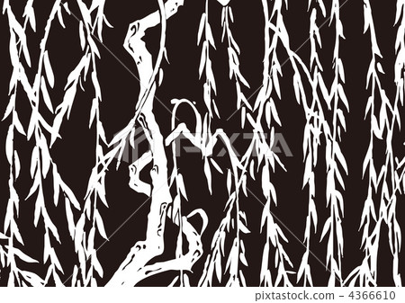 willow, weeping willow, willows 4366610