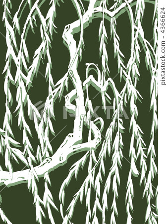 willow, weeping willow, willows 4366624