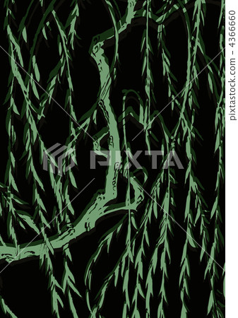 willow, weeping willow, willows 4366660