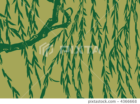 willow, weeping willow, willows 4366668