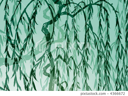 柳樹 哭泣的垂柳 日式 4366672