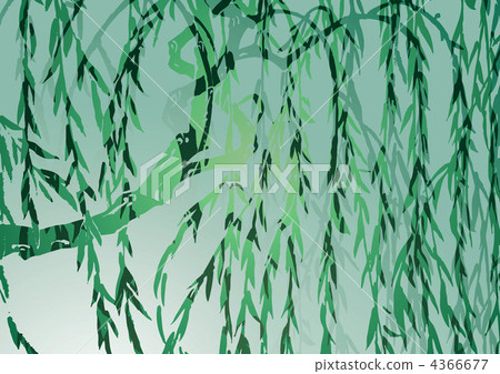 willow, weeping willow, willows 4366677
