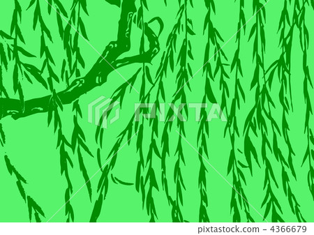 willow, weeping willow, willows 4366679