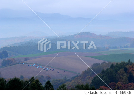 山稜 霾 山丘 4366986