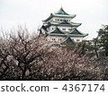 名古屋城堡 4367174