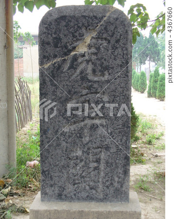 河南省濮陽龍 4367660