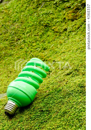 在青苔的綠燈電燈泡 在青苔的綠燈電燈泡 4368337