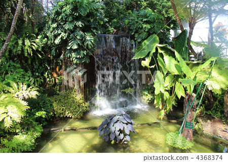 Yume no Island Tropical Botanic Garden 4368374