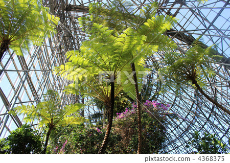 Yume no Island Tropical Botanic Garden 4368375