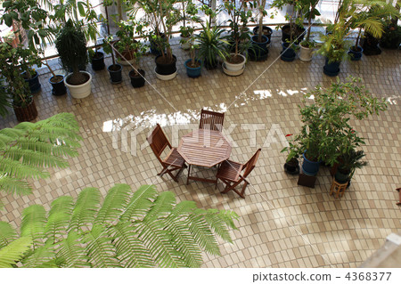 Yume no Island Tropical Botanic Garden 4368377