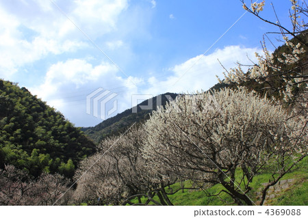 北九州市Mikake Bairin公園 4369088