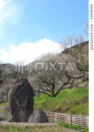 北九州市Mikake Bairin公園 4369094