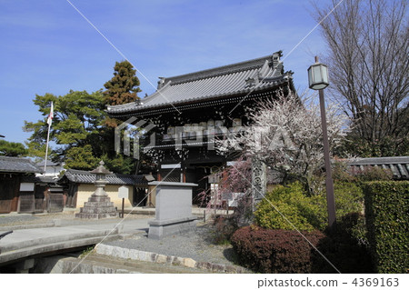 Umehimi Shrine of New Year 4369163