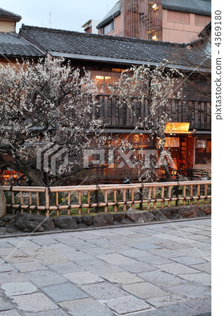 Early Spring Gion Shirakawa Early Spring Gion Shirakawa 4369180