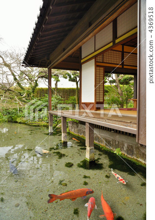Shimeisho Shimeisho 4369518