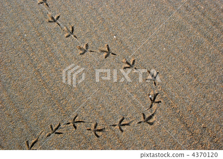 足跡 腳印 沙灘 4370120