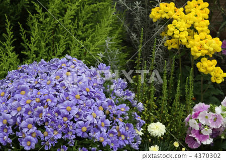 flower bed  4370302