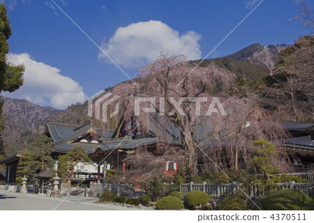 minobusan kuon-ji temple, spring, fluffy cloud 4370511