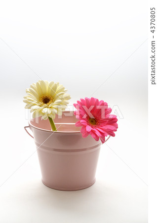 Pink and bucket Pink and bucket 4370805