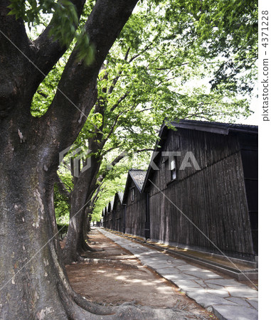 Sakata / Yamao倉庫 4371228