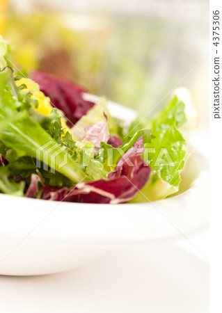 fresh salad fresh salad 4375306