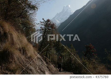 Machappuchare和高速公路 4375760