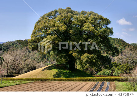 Eda Funayama Kofun Park北海道Tsuka Kofun Eda Funayama Kofun Park北海道Tsuka Kofun 4375974