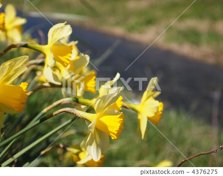 Rappersisen在河岸邊 Rappersisen在河岸邊 4376275