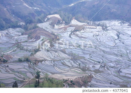 World's largest Yunnan Yuan rice terrace 4377041
