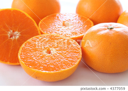 Fruit oranges 4377059