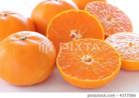 Fruit oranges 4377066