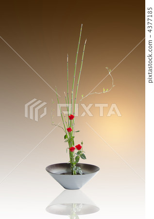 flower vase, ikebana (floral arrangement), ikenobo 4377185